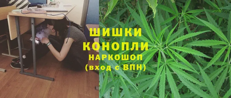 Шишки марихуана SATIVA & INDICA  цена наркотик  ОМГ ОМГ ТОР  Николаевск 